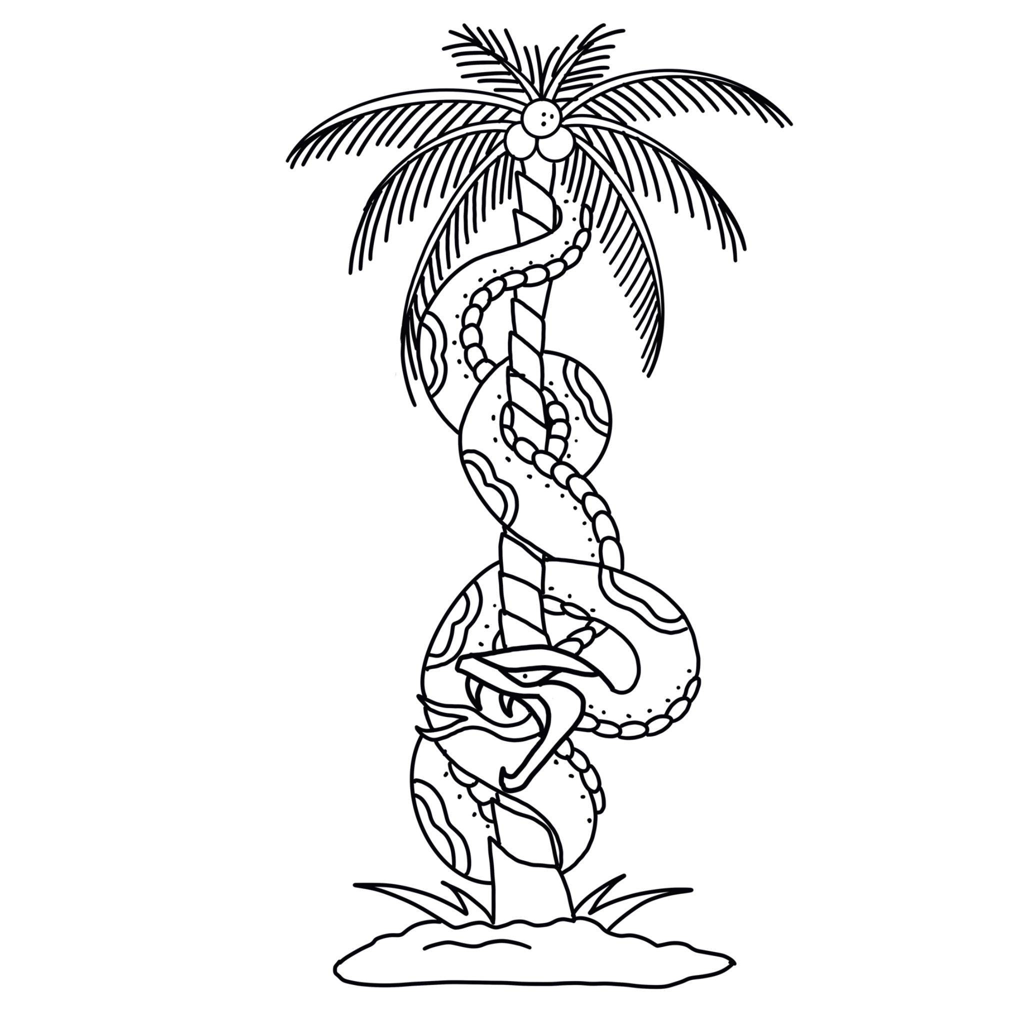 signal tattoo astoria oregon walk in traditional tattoos Palm Snake tattoo designs